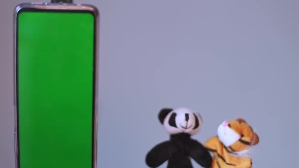 手机色键和熊猫虎玩具的对话和移动 — 图库视频影像