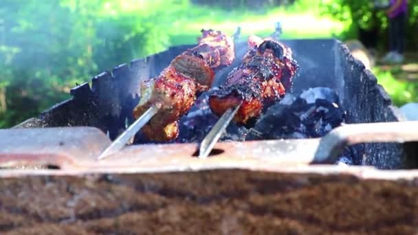 Kebab na grilu v letní den — Stock video