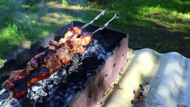 Un kebab sulla griglia il giorno d'estate — Video Stock