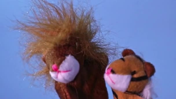 Смешная маленькая плюшевая львиная игрушка и плюшевая тигровая игрушка разговаривают друг с другом и смеются — стоковое видео