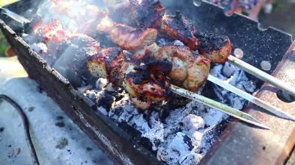 Un kebabs en la parrilla en el día de verano — Vídeos de Stock