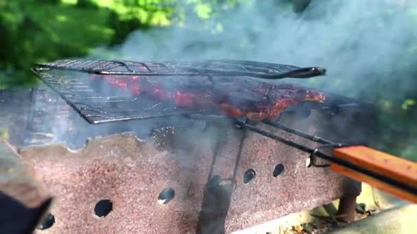 Żeberka barbecue na grillu w letni dzień — Wideo stockowe