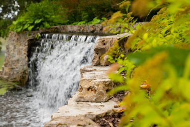 Parkta güzel bir şelale