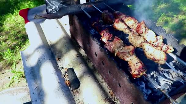 A kebabs on the grill on summer day — Stock Video