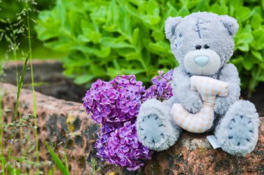 Oyuncak ayı bir taşın üzerinde oturuyor.