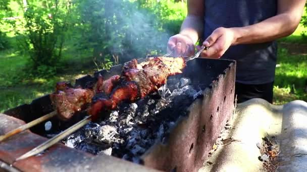 A kebabs on the grill on summer day — Stock Video