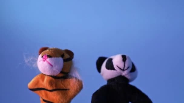 Brinquedo de panda de pelúcia engraçado e brinquedo de tigre de pelúcia estão falando com outro e rir — Vídeo de Stock
