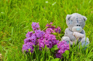 Oyuncak ayı yeşil çimlerde oturuyor