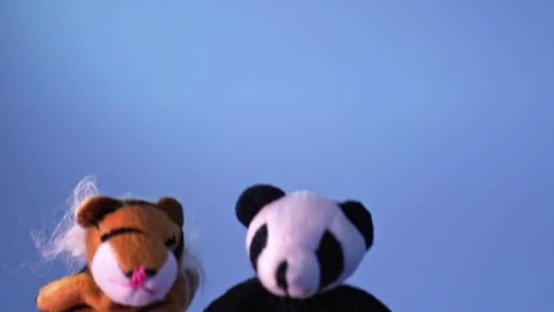Zabawna mała pluszowa zabawka panda i pluszowy tygrys tańczą — Wideo stockowe