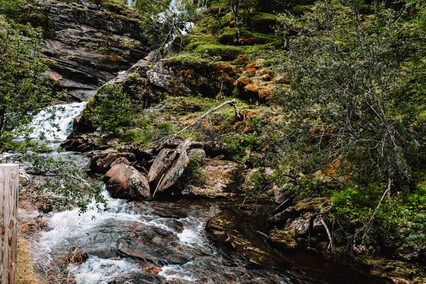 Río de montaña con rocas y cascadas en el bosque en Noruega —  Fotos de Stock