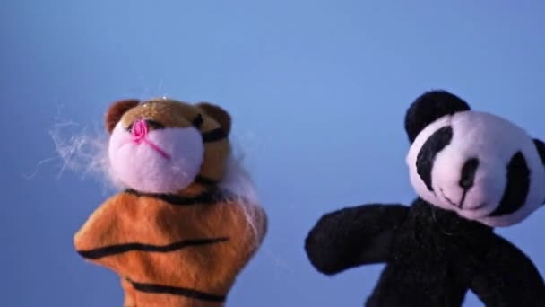 Divertido pequeño peluche panda juguete y peluche tigre juguete están bailando — Vídeos de Stock