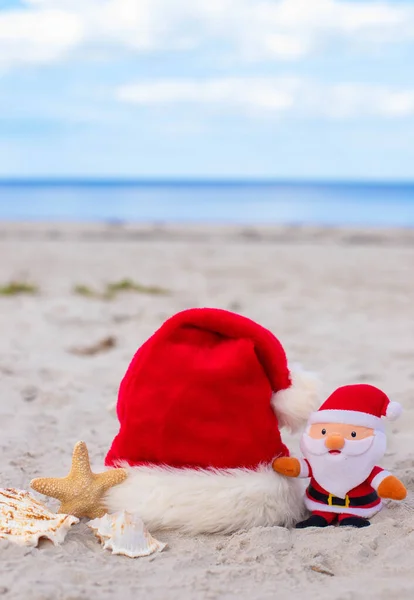Sahilde Noel Baba Şapkası Deniz Yıldızı Noel Baba Pelüş Oyuncağı — Stok fotoğraf