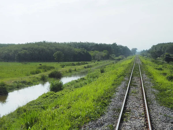 Thailändische Zugstrecken Auf Beiden Seiten Des Weges Kann Man Die Stockbild