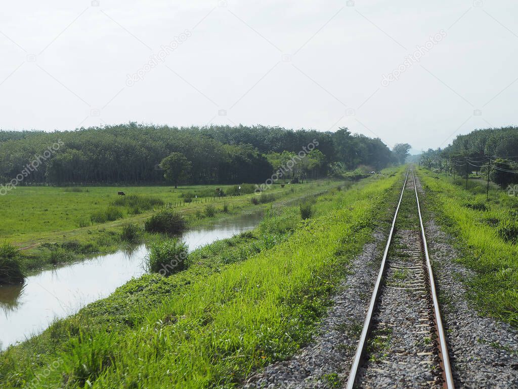 Thai train routes Along both sides of the way, you can see the beautiful way of life and nature.