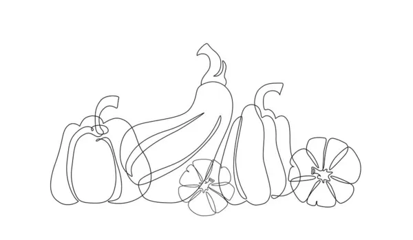 Moderní Abstraktní Dýňová Kresba Podzimní Dýně Obrysy Izolované Bílém Pozadí — Stockový vektor