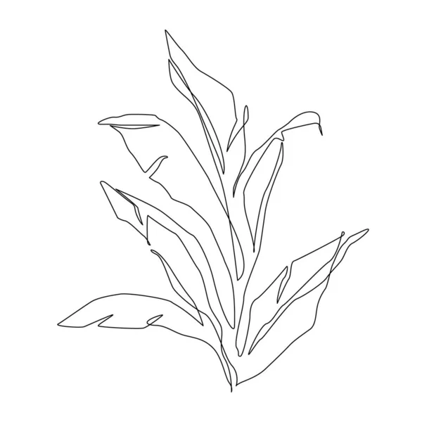 Abstract One Line Art Tropical Leaf Desenho Contorno Banana Linha — Vetor de Stock