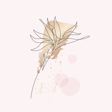 Bir çizgi soyut tropikal çiçek. Strelitzia çizimi. Geometrik şekillerde asgari aralıksız çizgili sanat çiçekleri, boya sıçramaları, pembe gül renginde damlayan arka planlar. Vektör sanatı