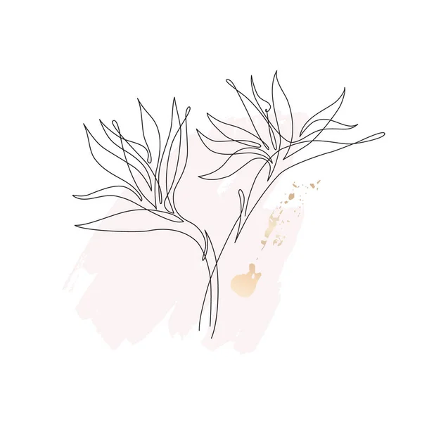 概要1本の線画熱帯の花 Strelitzia輪郭描画 幾何学的な形をした最小限の連続線画の花 ペイントスプラッター ピンクのバラ赤面色の背景を滴下します ベクトルアート — ストックベクタ