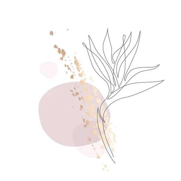 Bir Çizgi Soyut Tropikal Çiçek Strelitzia Çizimi Geometrik Şekillerde Asgari — Stok Vektör