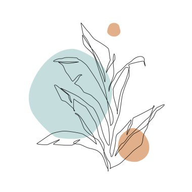 Bir çizgi soyut tropikal yaprak. Muz çizimi. Geometrik şekillerde arka planda asgari aralıksız sanat egzotik yaprağı. Vektör sanatı. Zarif bir çizim. Doğa bitkileri duvar kağıdı çizer