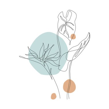 Bir çizgi soyut tropikal çiçek, canavar yaprağı. Strelitzia çizimi. Minimum aralıksız sanat çiçeği, geometrik şekillerde egzotik yaprak arka plan. Vektör sanatı. Zarif çizgi çizimi