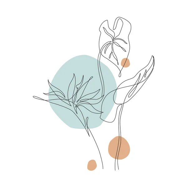 摘要单行热带艺术花 季风叶 Strelitzia等高线绘图 最小的连续线条艺术花朵 异国情调的叶子在几何形状的背景上 矢量艺术 优雅的线条绘图 — 图库矢量图片