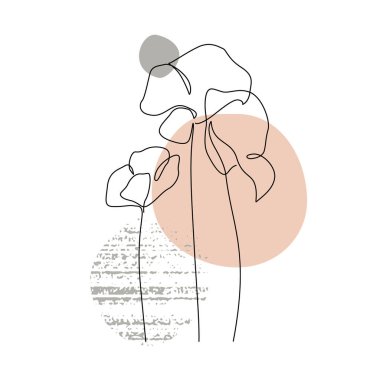 Geometrik şekiller üzerine minimum tarzda çizilmiş sürekli bir çizgi soyut gelincik çiçeği çiçeği. Yaz baskıları, kapak, duvar dekorasyonu ve şablon için botanik çizimi. Vektör sanatı