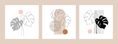 Soyut tropikal yaprak silueti, bir çizgi çizimi, minimal stil Vector sanat illüstrasyonuna sahip geometrik şekiller: canavar yaprakları, karalamalar, minimalist baskılar için daire, boho duvar dekoru tasarımı