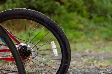 Bisiklet arka tekeri öğleden sonra güneş ışığı alıyor. Yeşil yaprak arkaplanı