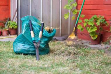 Evde bahçıvanlık. Çim dolu plastik bir torbaya yaslanmış makaslar. Çim biçme.