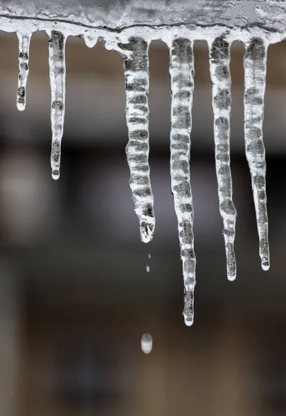 Kışın çatıdan buz saçakları damlıyor.