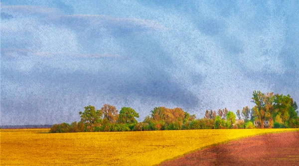 Yazın, Ukrayna 'da buğdaylı sarı bir tarlanın üzerindeki bulutlu gökyüzü, yağlı boya resim tarzında işliyor. — Stok fotoğraf