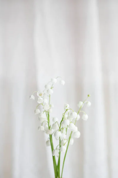 Verschillende takjes verse lelie van de vallei bloemen op een witte achtergrond. kopieerruimte. — Stockfoto