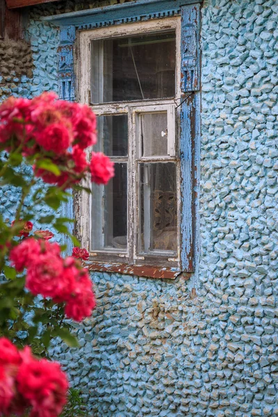 Rosa-rojo escalada rosa sobre el fondo de un viejo edificio de piedra azul con ventanas Imágenes De Stock Sin Royalties Gratis