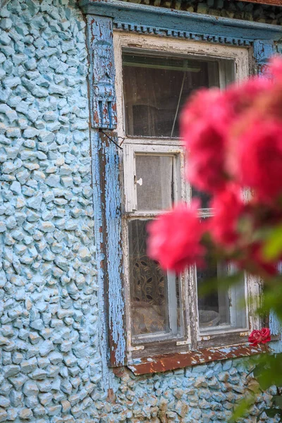 Rosa-rojo escalada rosa sobre el fondo de un viejo edificio de piedra azul con ventanas Imagen De Stock