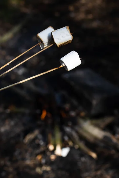 Marshmallow on a stick at the stake. Fried marshmallows. Picnic in the nature. Marshmallows on a background of fire