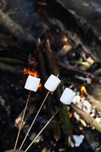Marshmallow on a stick at the stake. Fried marshmallows. Picnic in the nature. Marshmallows on a background of fire