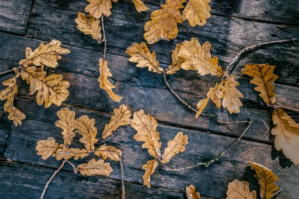 Vybledlé Dubové Listí Starém Venkovském Dřevěném Stole Podzimní Pozadí Pozadí — Stock fotografie