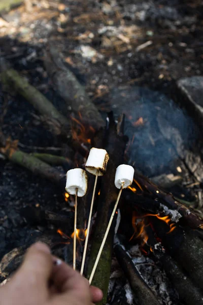 Marshmallow on a stick at the stake. Fried marshmallows. Picnic in the nature. Marshmallows on a background of fire