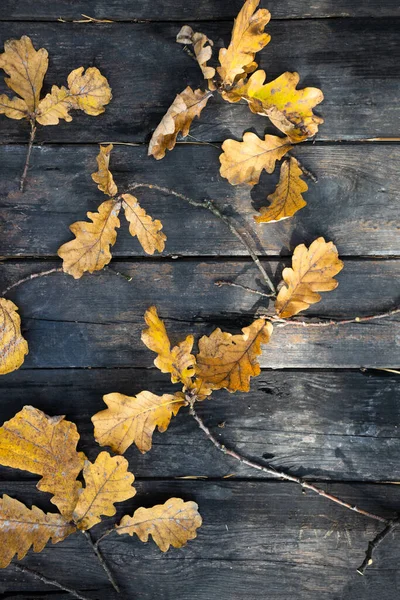 古い素朴な木製のテーブルの上にフェードオークの葉 秋の背景 背景と質感 — ストック写真