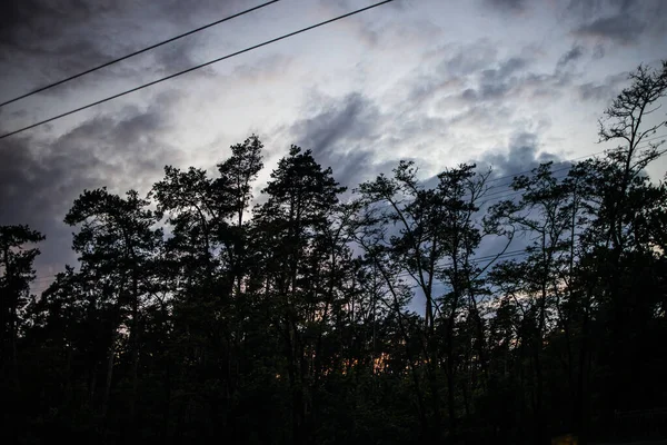 Evening Landscape Silhouette Trees Stormy Low Sky — Stock Photo, Image