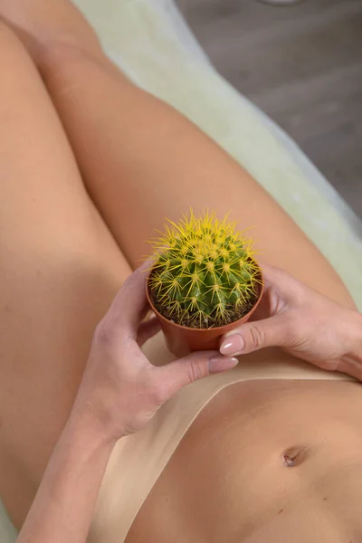 Depilation im Konzept der Bikinizone. Eine Frau hält einen gelben Kaktus in der Hand und legt sich in eine hellbeige Hose — Stockfoto