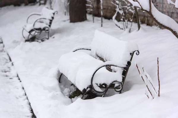 Banco vazio no parque na neve no inverno — Fotografia de Stock