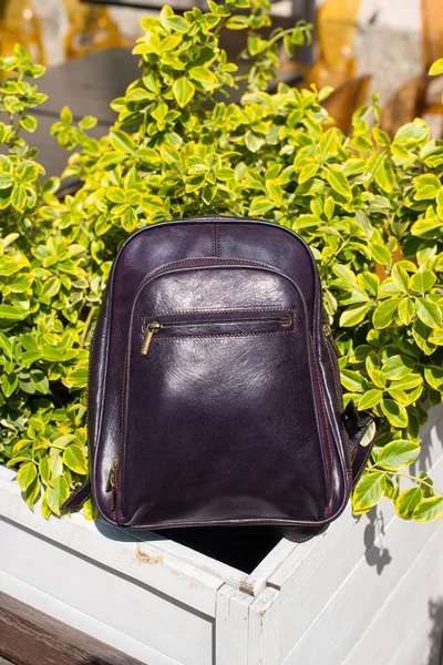 Burgundy leather backpack. bush on a background — Stock Photo, Image