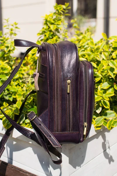 Burgundy leather backpack. bush on a background — Stock Photo, Image