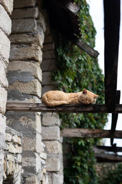 Um gato vermelho dorme no telhado lajes na aldeia. — Fotografia de Stock