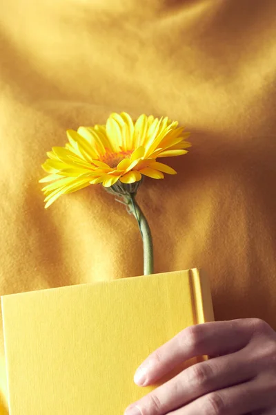 Žlutá kniha s květinovou záložkou v rukou ženy na žlutém svetru na pozadí. — Stock fotografie