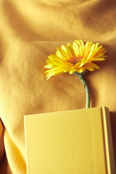 Žlutá kniha s květinovou záložkou v rukou ženy na žlutém svetru na pozadí. — Stock fotografie