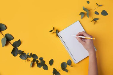 Okaliptüs yaprakları ve bir defter, bir kadın eli kalemle yazar. Sarı arkaplan, metin alanı, kopyalama alanı.