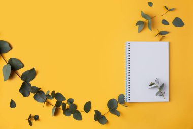 Okaliptüs yaprakları ve sarı arka planda bir kalemle birlikte bir defter. Metin ve metin boşluğu için yer.